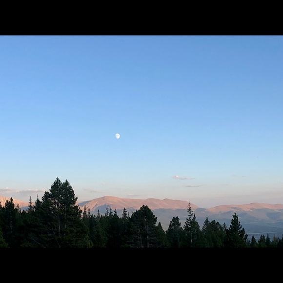 Meet your Posher, Jennifer - Picture 1 of 1